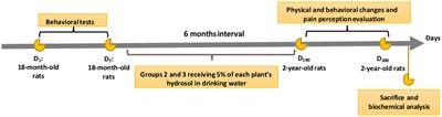 Mentha rotundifolia (L.) Huds. and Salvia officinalis L. hydrosols mitigate aging related comorbidities in rats